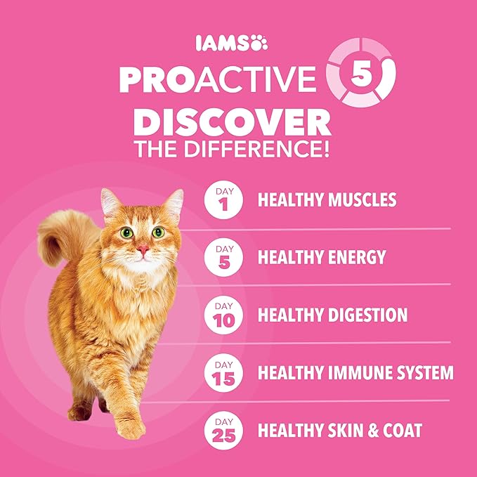 IAMS Proactive Health Sensitive Digestion & Skin Dry Cat Food, Adult Cat Food Dry Recipe with Real Turkey, 3 lb. Bag