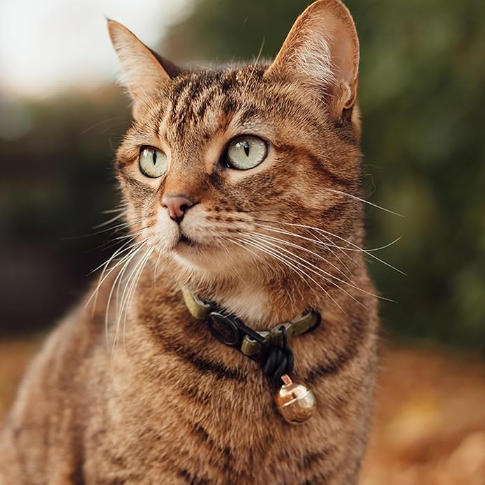Beau's Bells V2 | Cat & Dog Collar Bells with New Quick Loop Easy Release Clip | Handmade Copper | Track Your Pet | Protect Wildlife