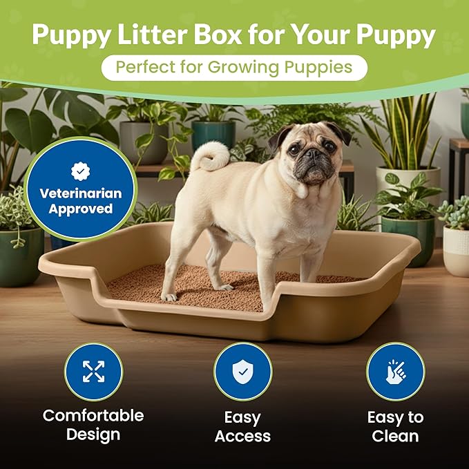 Dog Litter Box, Beach Sand Color, Large Size, Durable & Pet Safe Puppy Litter Box, Indoor Open Top Entry Dog Litter Pan, Comfortable for Dogs, Great for Dogs up to 20 lbs