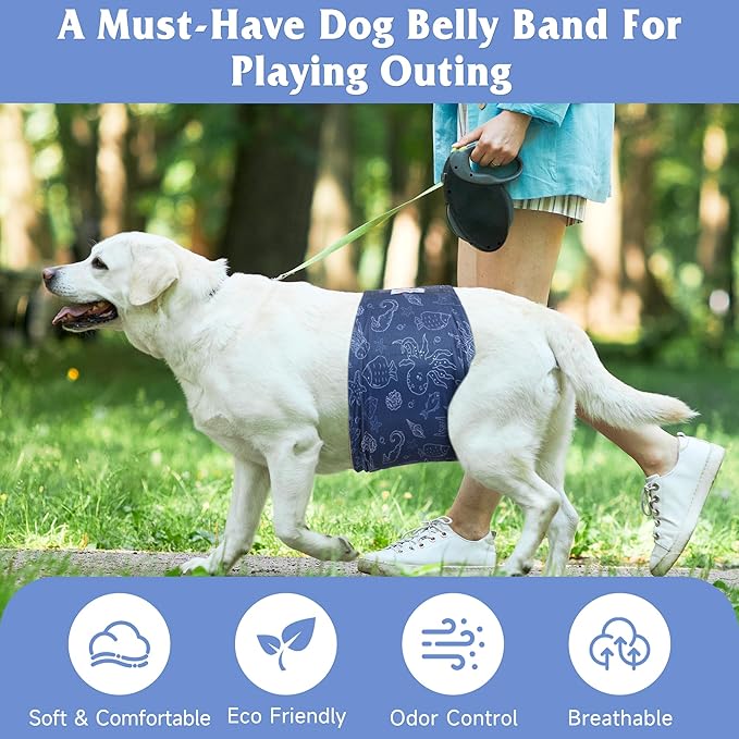 5 Pack Dog Diapers Male Reusable, Premium Belly Bands for Male Dogs, High Absorbing Dog Pee Wraps for Doggie in Incontinence or Excitable Urination and Training Hawaii XXL