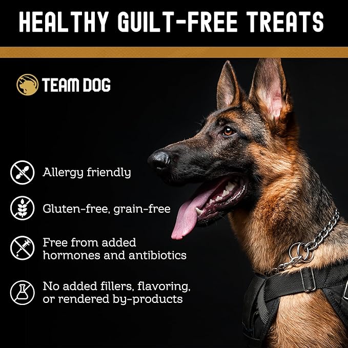 Team Dog Freeze-Dried Raw Beef Dog Treats | Dog Training Treats & Food Toppers for Picky Dogs | Made from Gluten Free, Grain Free 100% USA-Sourced Beef Lung, Liver & Heart | 14 oz Bulk Size Pack