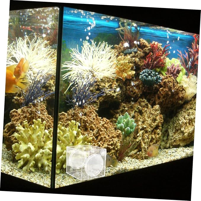 Happyyami Fish Isolation Box Design Incubator for Guppy Breeding Aquarium Tank Separator Cups for Easy Installation and Observation of Fish Fry Hatching
