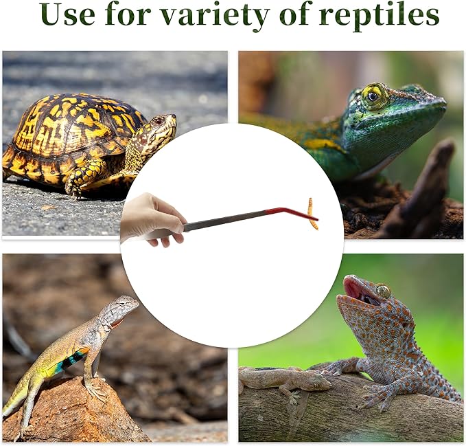 Reptile Feeding Tongs, Stainless Steel Lizard Feeding Tongs, Aquarium Curved Feeding Tweezers for Reptiles with Rubber Tip, Terrarium Feeding Tongs for Gecko, 14.96" Length, Red