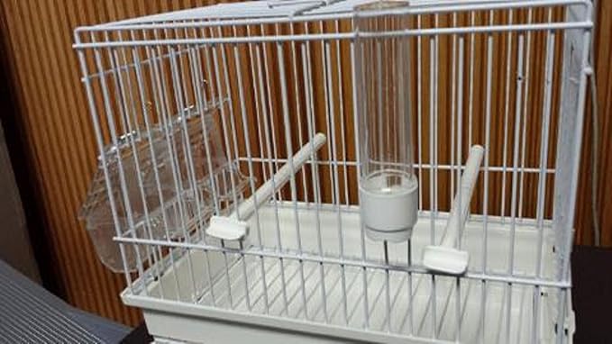 I064B All White Song Bird CAGE