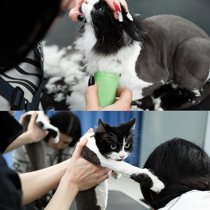 Detachable A Series 7f Blades for Cat Grooming Full Tooth Cuts Length 1/16" - 3.2mm Japanese High Carbon Stainless Steel Cat Grooming Supplies | Compatible A5 Series(7F Cat)