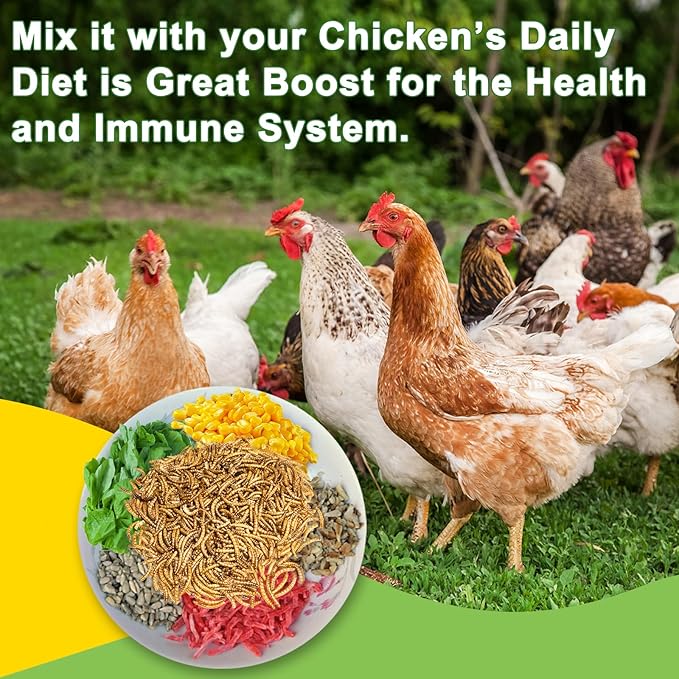 600g Dried Mealworms Treat for Chicken, 100% Natural Non-GMO High Protein Organic Chicken Feed for Birds, Ducks, Layer Hens