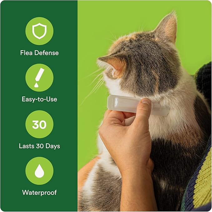 ADVECTA Flea Prevention for Small Cats 5-9 lbs (6 Doses) + CAPSTAR Flea Treatment for Cats 2-25 lbs (6 Doses) Bundle