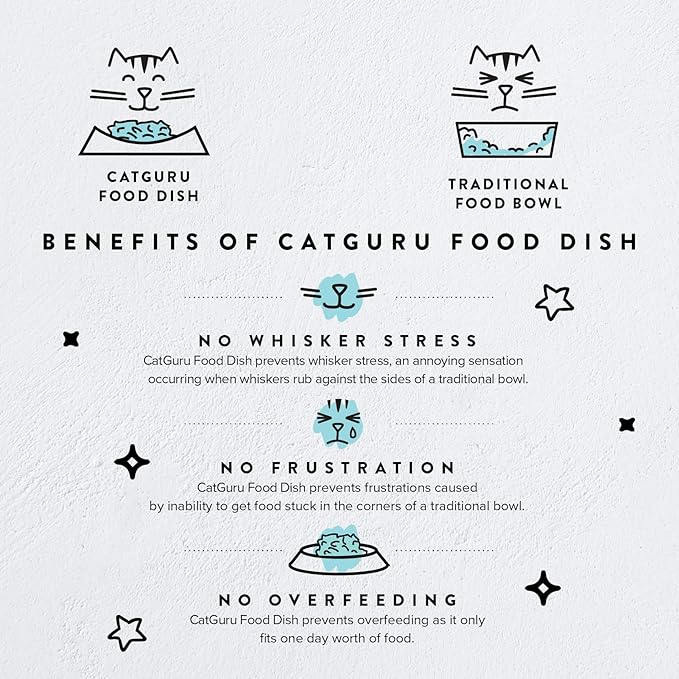 CatGuru Cat Bowls, Whisker Friendly Food Bowl for Indoor Cats, Reliefs Whisker Fatigue, Wide Kitten Dish, Non Slip Pet Dishes, Shallow Pet Plates (Stainless Steel)