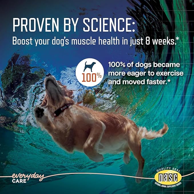 Virbac URSOLYX™ Soft Chews for Dogs | Muscle Health Support for Senior, Active or Recovering Dogs, Medium 30-60lbs | 60 Count 2- Month Supply