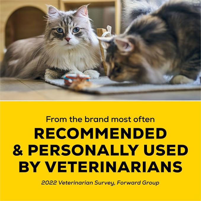 Purina Tidy Cats Performance Plus Tidy Feet Low Tracking Unscented Clumping Multi Cat Litter - 22 lb box