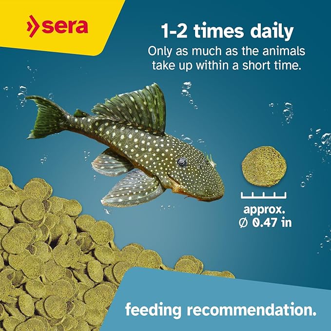 Sera Pleco Chips 13.4 oz./0.84lbs | Premium Fish Food for Ancistrus & Plecos | High Fiber | No Dyes & Preservatives | Supports Digestion & Promotes Healthy Growth | Ideal for Bottom Feeders