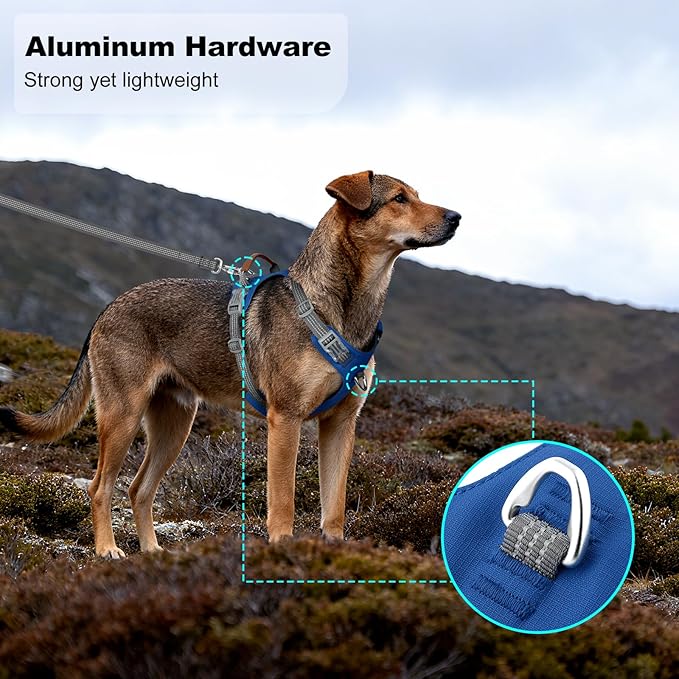 No Pull Dog Harness – Adjustable Reflective Nylon Vest for Small Medium Large Dogs, Escape Proof Training Harness with Leather Control Handle, Lightweight Aluminum Hardware (Royal Blue, M)
