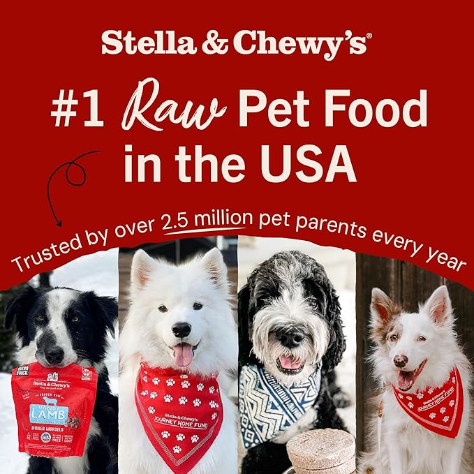 Stella & Chewy's Freeze-Dried Raw Dinner Patties - Beef Recipe - High Protein Grain-Free Puppy & Dog Food - Perfect For Picky Eaters - 14 oz