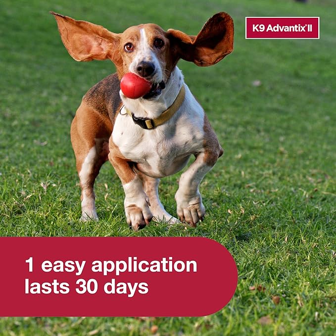 K9 Advantix II Small Dog Vet-Recommended Flea, Tick & Mosquito Treatment & Prevention | Dogs 4-10 lbs. | 1-Mo Supply
