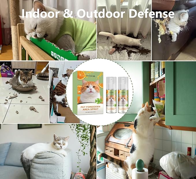 Cat Deterrent Spray 2 Pack- Natural Cat Spray Deterrent for Urine Marking & Scratching - Eco Friendly, Safe to Use Around Children, Pets, Furniture and Fabric, Works Indoor & Outdoor（2X100ml)2