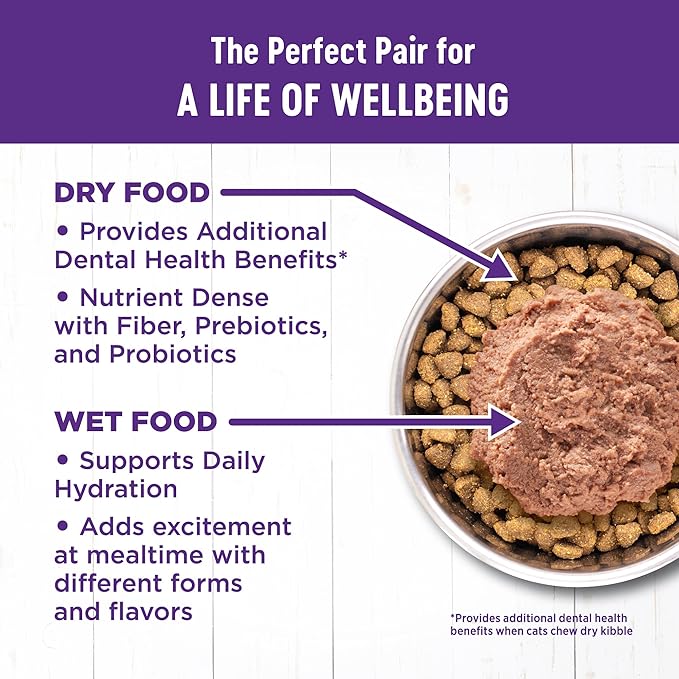 Wellness Complete Health Pate Adult Wet Cat Food, Natural, Protein-Rich, Grain Free, 5.5 Ounce, 24 Pack, (Chicken & Lobster)