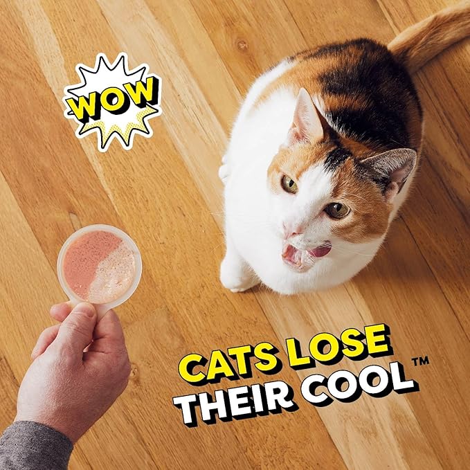 Temptations Lickable Spoons, Soft Lickable Cat Treats, Adult Wet Cat Treats, Savory Salmon and Tempting Tuna Flavor, 8 Spoons, Pack of 12 (96 Total)