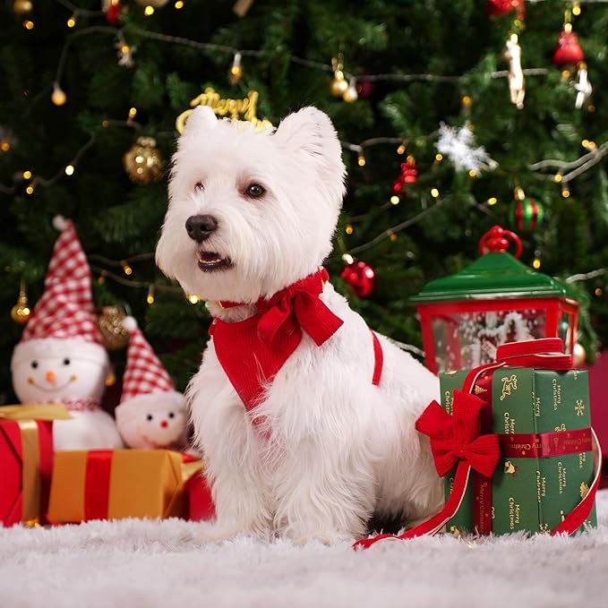 Didog Cute Small Dog Harness Collar and Leash Set with Bowtie, Breathable Soft Mesh Padded Puppy Harness, Christmas Dog Harness for for Parties, Holiday Gatherings & Gifts, Red, M