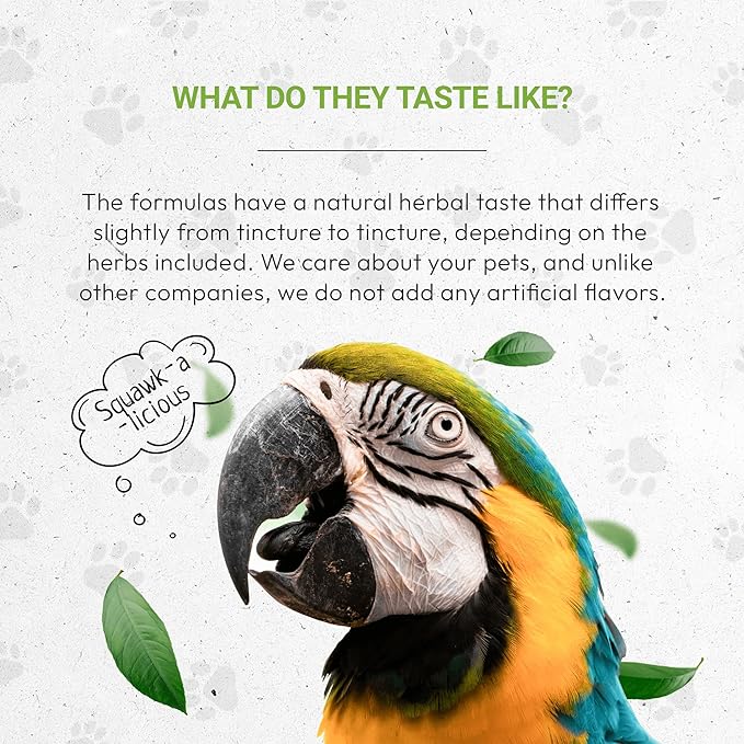Birds Immunity | Natural Herbal Dietary Pet Supplement for Birds | Immune Support | Alcohol-Free Extract, Elder Flowers, Calendula, Dandelion Root, Rosemary, Fennel 2 oz