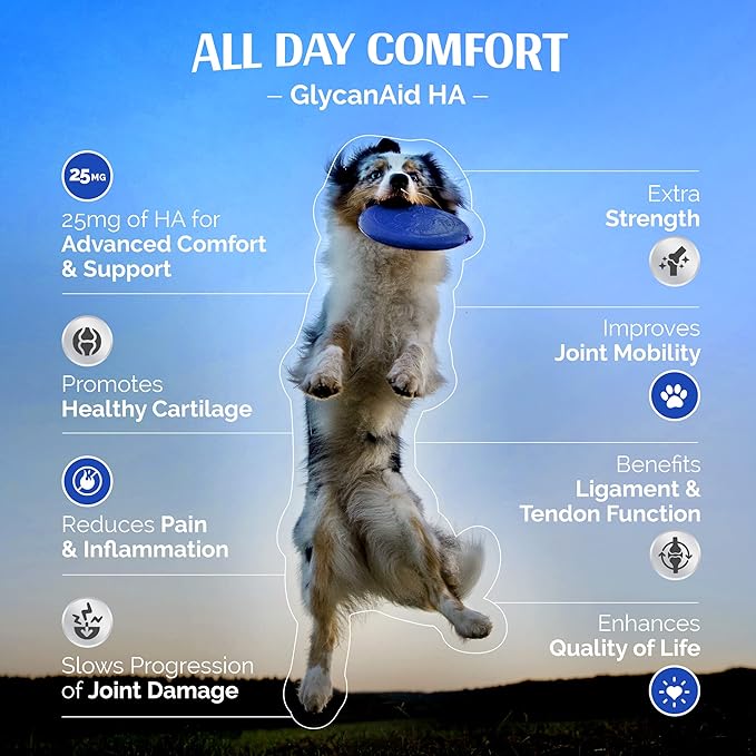 TopDog Health GlycanAid HA Advanced Joint Nutrition for Dogs (300 Chewable Tablets) Made in USA with USA Ingredients: Glucosamine HCL, Chondroitin, Hyaluronic Acid, MSM