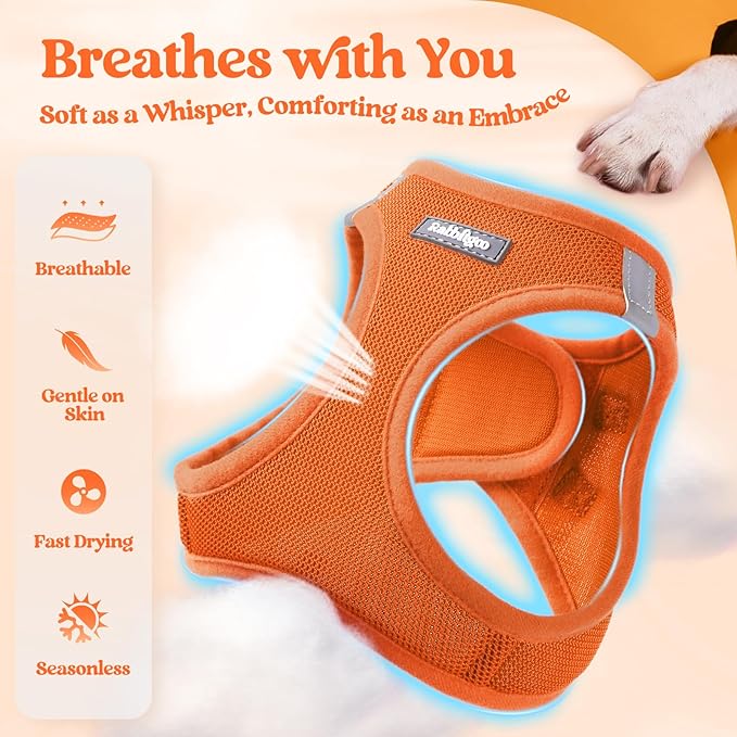 rabbitgoo Dog Harness Medium Sized and Leash Set, Step in Soft Light Puppy Vest, Breathable Mesh Pet Harness, Reflective for Safe Easy Walking, Orange XXL