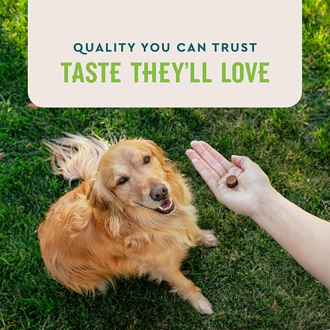 VetIQ Probiotic Supplement for Dogs, Dog Probiotics for Digestive Health, Nourishes Gut Bacteria and Supports Bowel Function, Hickory Smoke Flavor, Made in The USA, 180 Count