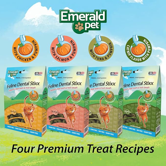 Emerald Pet Feline Dental Stixx — Tasty and Crunchy Cat Sticks with Pumpkin for Digestive Health — Natural Grain Free Treats for Clean Cat Teeth and Fresh Breath — Catnip, 3.6 oz