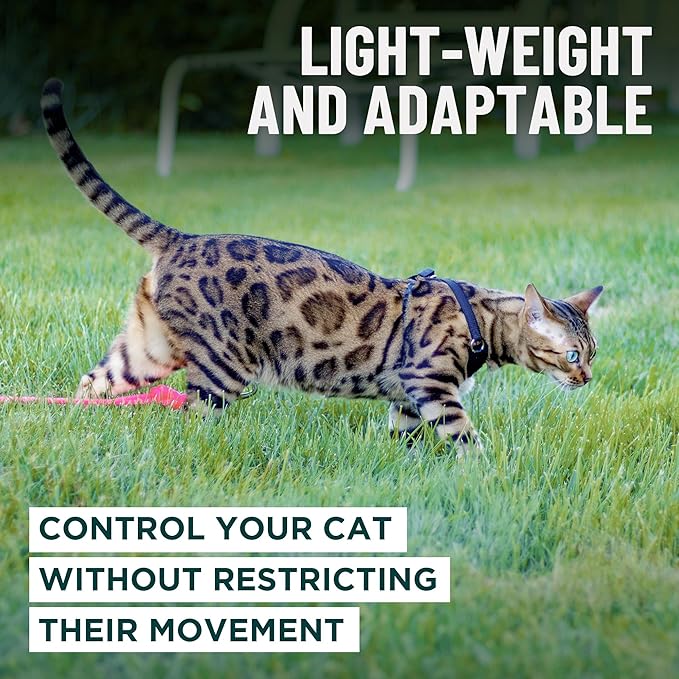 Houdini™ Escape Proof Cat Harness and Leash Set by OutdoorBengal – Orange, Medium Cat Harness for Walking