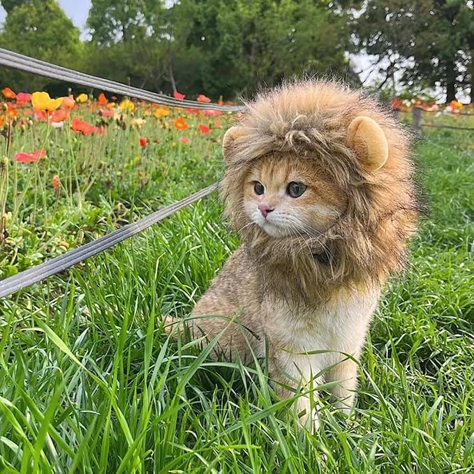 Lion Mane Wig for Cats - Adjustable, Washable, Brown Lion Mane Wig for Cat Costume (Medium)