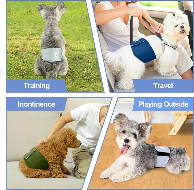 5 Pack Dog Diapers Male Reusable, Premium Belly Bands for Male Dogs, High Absorbing Dog Pee Wraps for Doggie in Incontinence or Excitable Urination and Training Green XXL