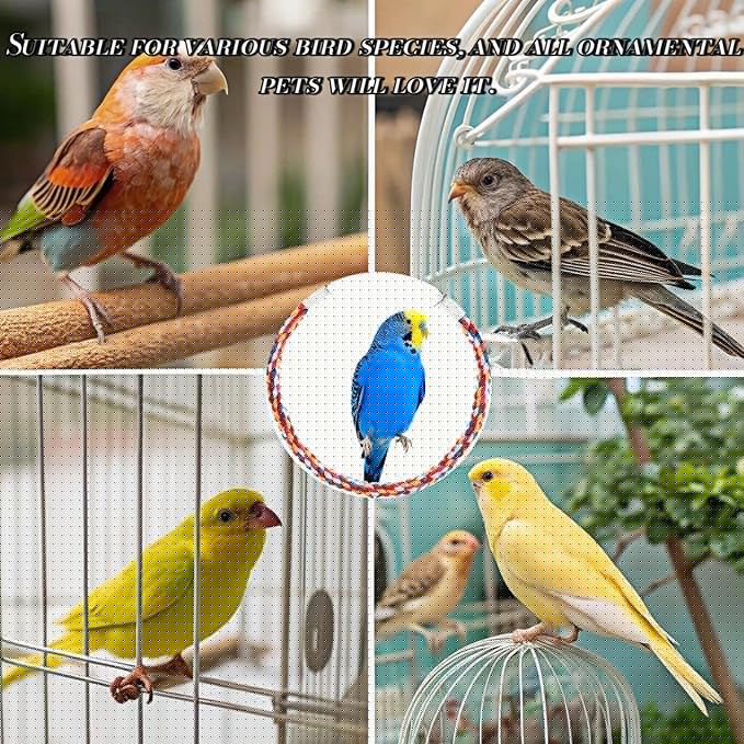 Bird Rope Perches, Parrot Toys, Bungee Rope Perches for Parrots, Cockatiels, Parakeets, Budgie Cages Comfy Birds (Metal Nut) - 23.62 inches