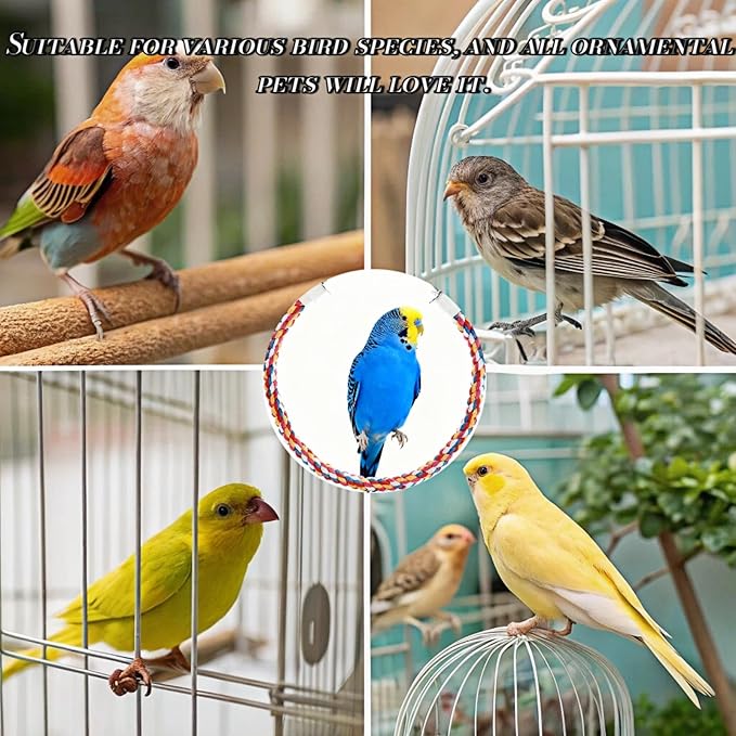 Bird Rope Perches, Parrot Toys, Bungee Rope Perches for Parrots, Cockatiels, Parakeets, Budgie Cages Comfy Birds (Metal Nut) - 31.5 inches