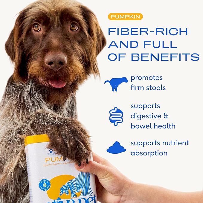 Native Pet Pumpkin for Dogs - Organic Powder Pumpkin Puree Dog Food Toppers -Rich in Fiber Supplement Powder Helps with Digestion, Nutrient Absorption, Diarrhea, Constipation & Upset Stomach-30 Scoops