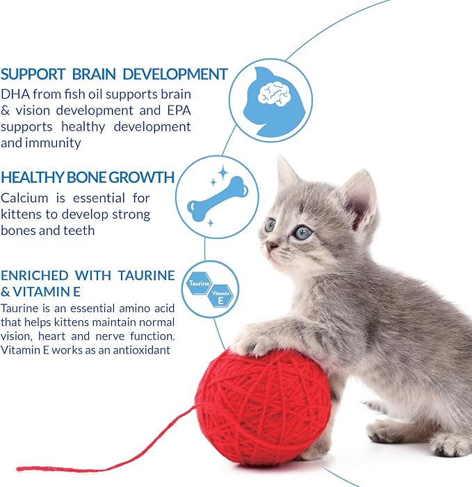 INABA Churu for Kittens,Grain-Free Creamy,Purée Lickable Cat Treats with DHA,EPA,Vitamin E & Taurine,0.5 Ounces Each, Tubes (4 per Package),Chicken Recipe,(Pack of 48)