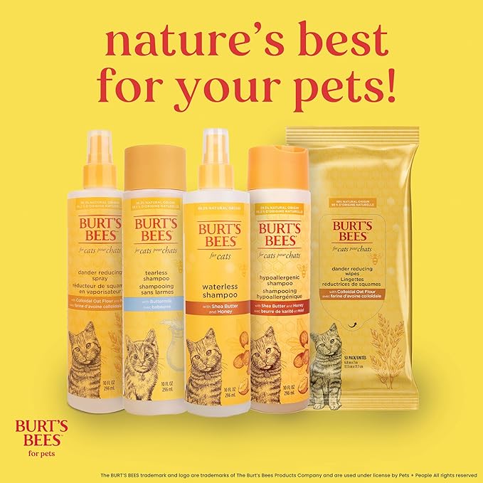 Burt's Bees for Pets Cat Dander Remover Wipes, Unscented Soft Grooming Cloths with Colloidal Oat Flour + Aloe, Helps Reduce Flaking Between Baths for Cats & Kittens, 50 Count - 6 Pack