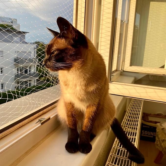 Cat Netting Balcony, Wire-reinforced Cat Net, Bite and Tear-resistant, UV and Weather-resistant, Balcony Cat Anti-Fall Netting for Pets, Cat Protection Net for Windows Patio Balcony - 10x13ft/4x3m