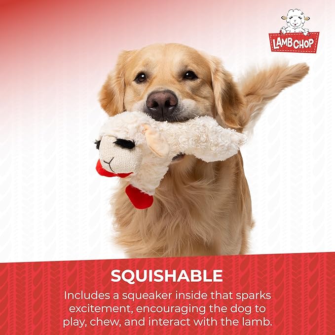 Multipet Lamb Chop Dog Plush Toy - Squeaky Toy for Small & Medium Dogs - Extra Soft Plush - Stuffed Animal for Cuddling & Playing (10",Cream,5 Squeakers),(Pack of 2)