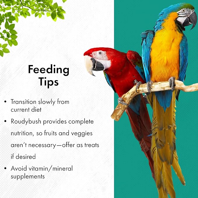RoudyBush Daily Maintenance Bird Food, Medium, 22-Ounce, Green, 222MDDM