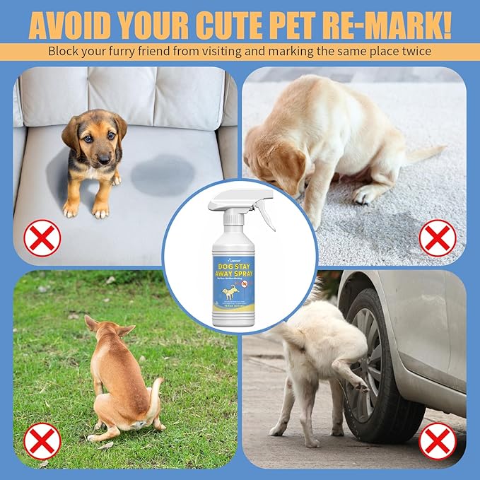 16oz Dog Behavior Correction Spray - Dog Not Here Pee - Training Aid Spray for Dogs