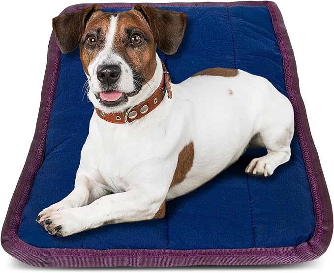 Jeffers Pet Comfort Dog Pillow, Small 18" x 24", Navy Blue – Machine Washable Dog Bed for House, Sofa, Crate & Travel – Poly Cotton Shell, Winter Warmth, Soft, Comfy, Durable, Top Pet Bedding
