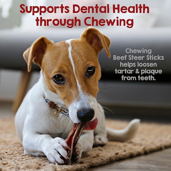 Riley's Steer Bully Sticks for Small to Medium Dogs - Single Ingredient Dog Treat, Easily Digestible, 100% Beef Pizzle Sticks - 5-6", 12ct (Pack of 2)