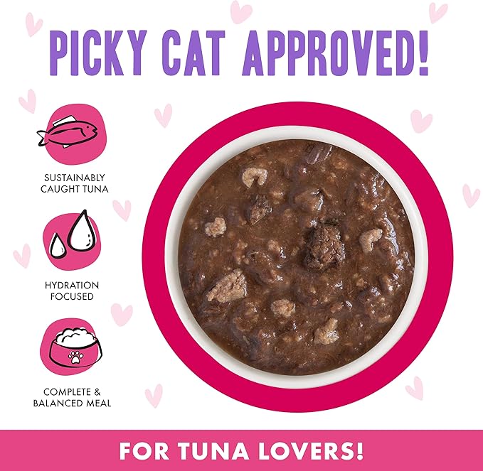 Weruva B.F.F. OMG - Best Feline Friend Oh My Gravy!, Tuna & Duck Dilly Dally with Tuna & Duck, 5.5oz Can (Pack of 8)