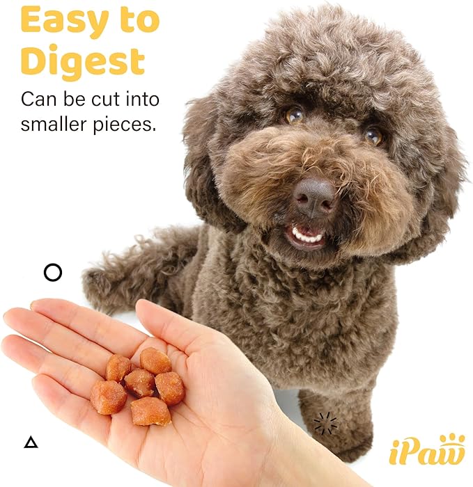 iPaw Chicken Tots Dog Treats for Puppy Training, All Natural Human Grade Dog Treat, Hypoallergenic, Easy to Digest (Chicken Tots)