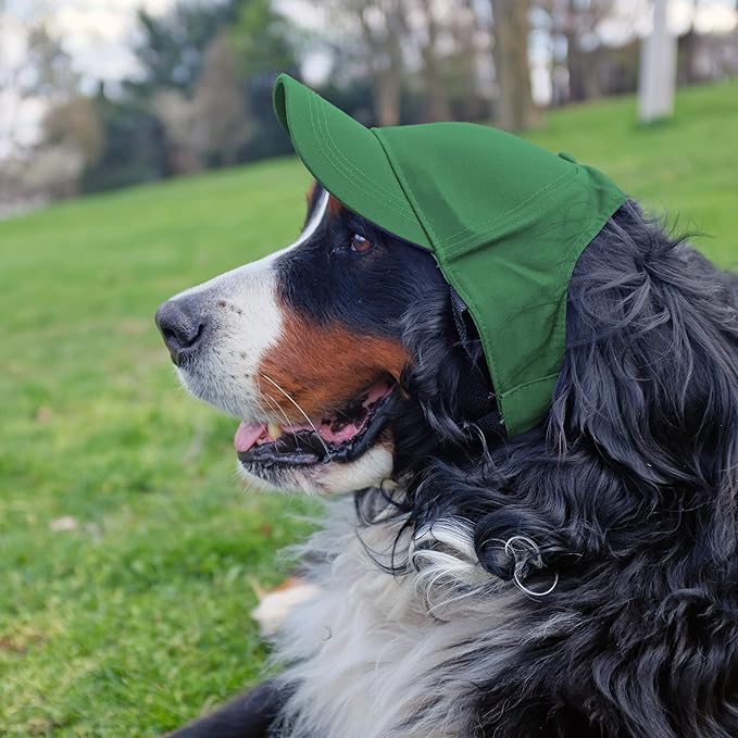 Littlearth NFL Pet Baseball Hat - Officially Licensed Teams, Sizes: XS - XL