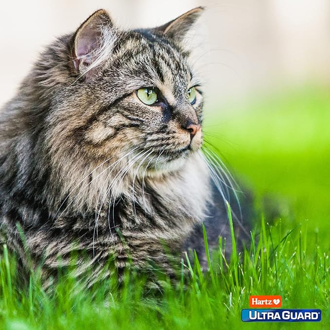Hartz UltraGuard Pro Topical Flea & Tick Prevention for Cats and Kittens - 3 Monthly Treatments