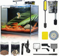 2.6 Gallon Small Aquarium Set Glass Fish Tank, Starter Kit with Heater Water Pump Cleaning System Filter Bright Light Rocks Gravel Cleaning Tool, Leak-Proof Clear Rimless Desktop Spaces Saving Betta