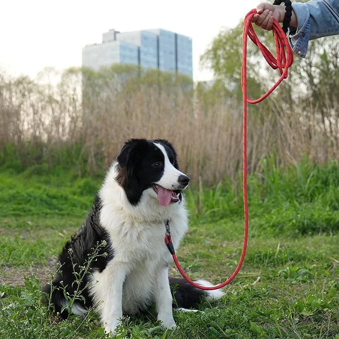 NTR Long Leash for Dog Training, 50FT Red Leashes Large Breed with Swivel Lockable Hook and Padded Handle,Reflective Check Cord Walking,Hunting,Camping Small Medium, 50ft*1/3/''