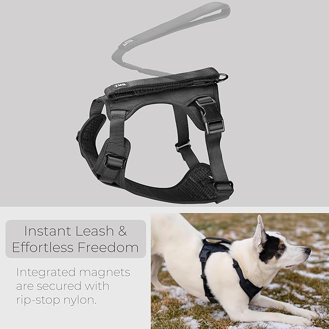 TUG Grab Dog Harness | Integrated Traffic Leash Magnetically Attached for Quick Control (Small/Black)