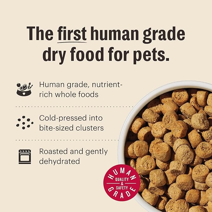 The Honest Kitchen Human Grade Whole Food Clusters Dry Dog Food - Grain Free Beef, 20 lb Bag