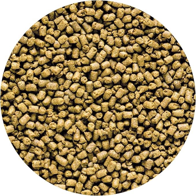 Hikari 042220 Carnivore Medium Sinking Pellets Marine Fish Food, One Size
